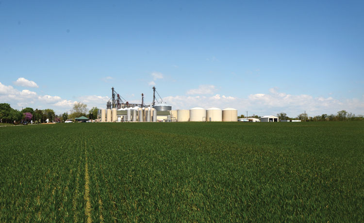 Agricultural Business in Kent County, Maryland Willard's Agri-Services