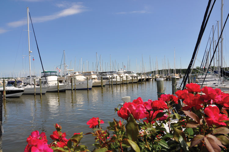Haven Harbour Marina Rock Hall, Maryland Haven Harbour Marina Rock Hall, Maryland